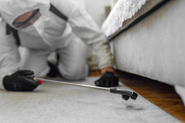 Professional Termite Control technician working in Perry, GA