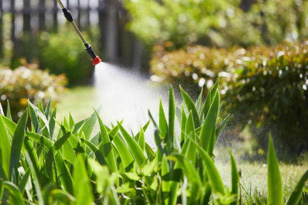 24/7 Emergency Termite Control experts in Perry, GA