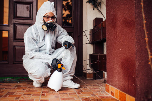 Reliable Termite Control contractor in Perry, GA by Nex Pest Control