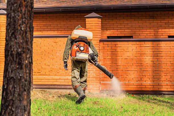 Top rated local Termite Control specialists in Perry, GA